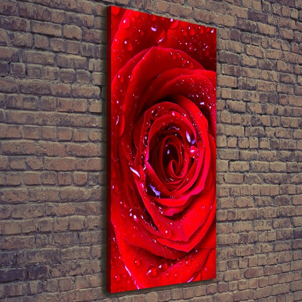 Wandbild vertikales Rote Rose