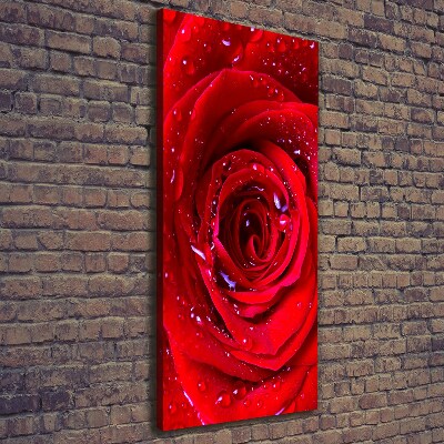 Wandbild vertikales Rote Rose