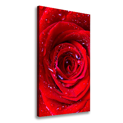 Wandbild vertikales Rote Rose