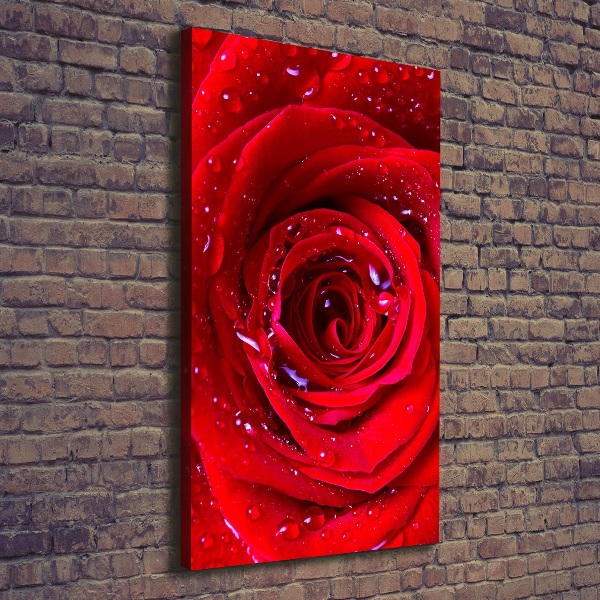 Wandbild vertikales Rote Rose