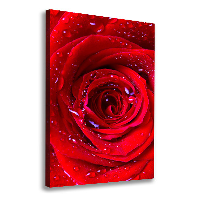 Wandbild vertikales Rote Rose