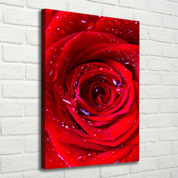 Wandbild vertikales Rote Rose