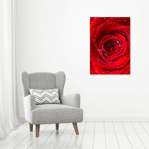 Wandbild vertikales Rote Rose