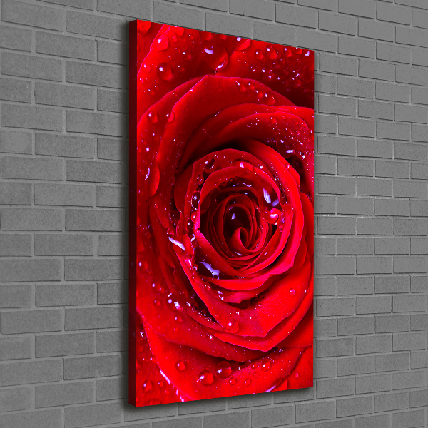 Wandbild vertikales Rote Rose