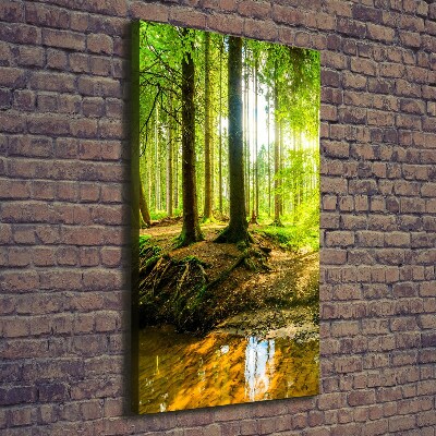 Foto leinwand vertikales Die Sonne im Wald