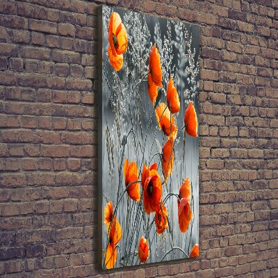 Wandbild vertikales Feldmohn