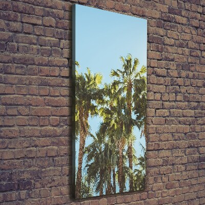 Foto leinwand vertikales Palmen