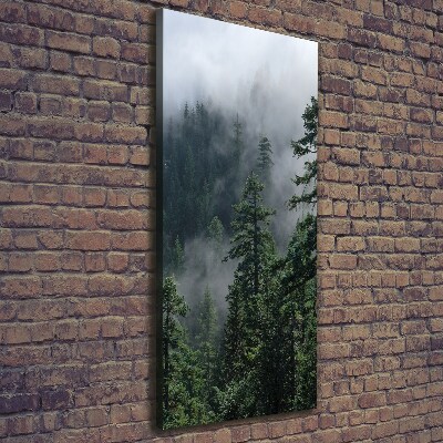 Foto auf leinwand vertikales Nebel über dem Wald