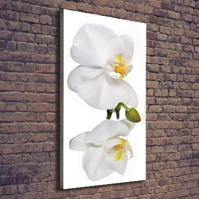 Wandbild vertikales Weiße Orchidee