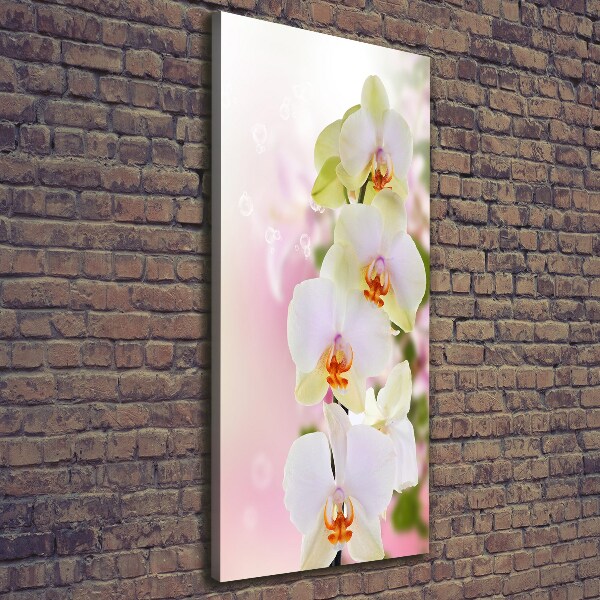 Foto leinwand vertikales Weiße Orchidee