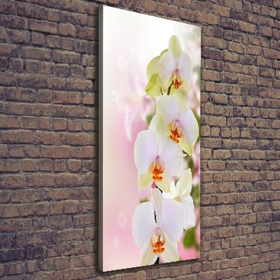 Foto leinwand vertikales Weiße Orchidee