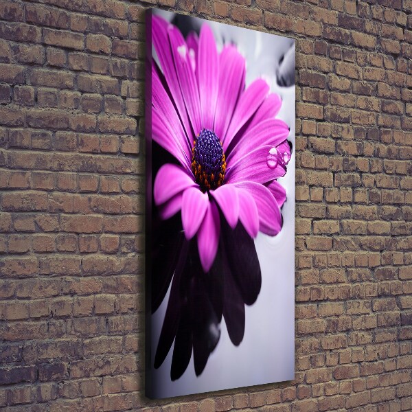 Foto leinwand vertikales Rosa Gerbera