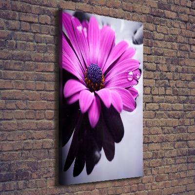 Foto leinwand vertikales Rosa Gerbera