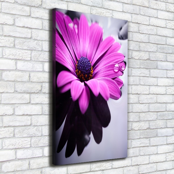 Foto leinwand vertikales Rosa Gerbera