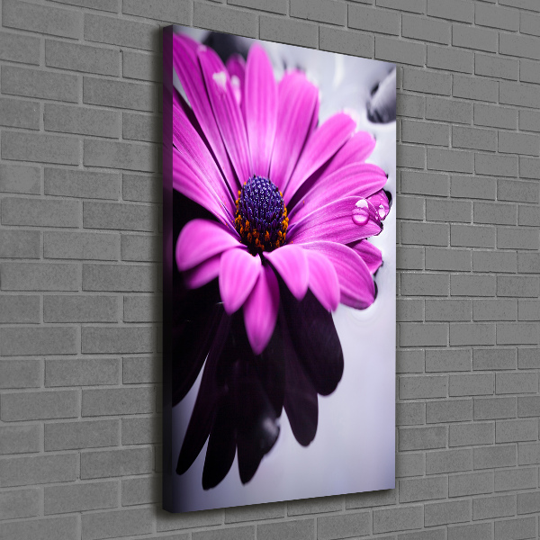 Foto leinwand vertikales Rosa Gerbera