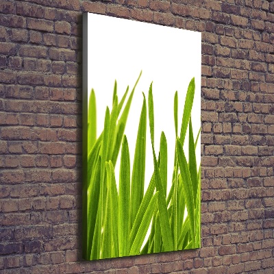 Foto auf leinwand vertikales Grünes Gras