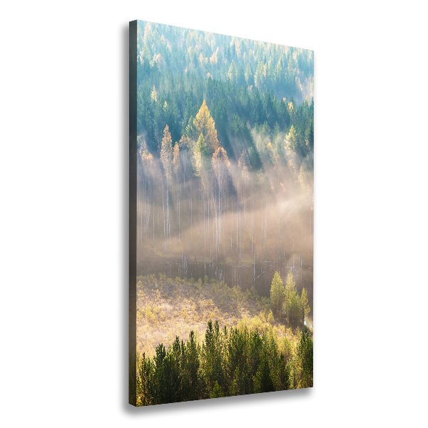Foto leinwand vertikales Nebel über dem Wald
