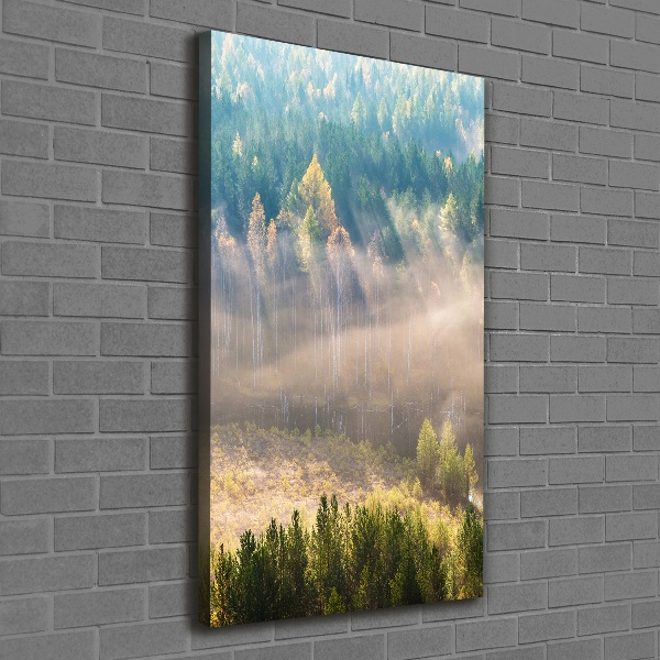Foto leinwand vertikales Nebel über dem Wald