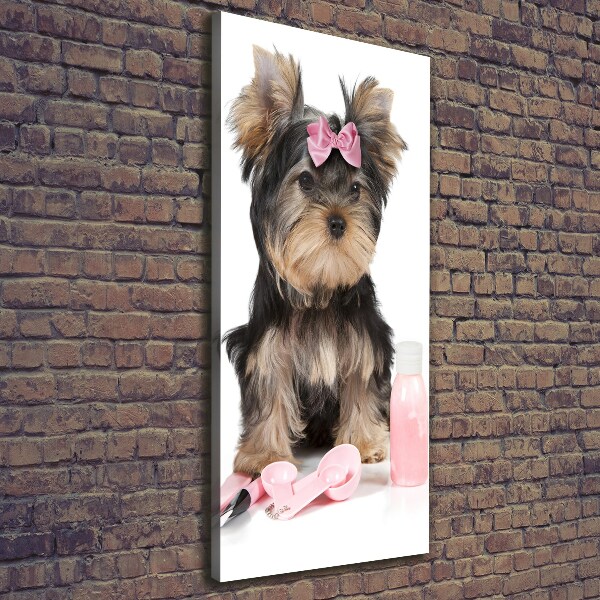 Foto auf leinwand vertikales Yorkshire Kosmetik