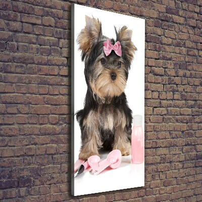 Foto auf leinwand vertikales Yorkshire Kosmetik