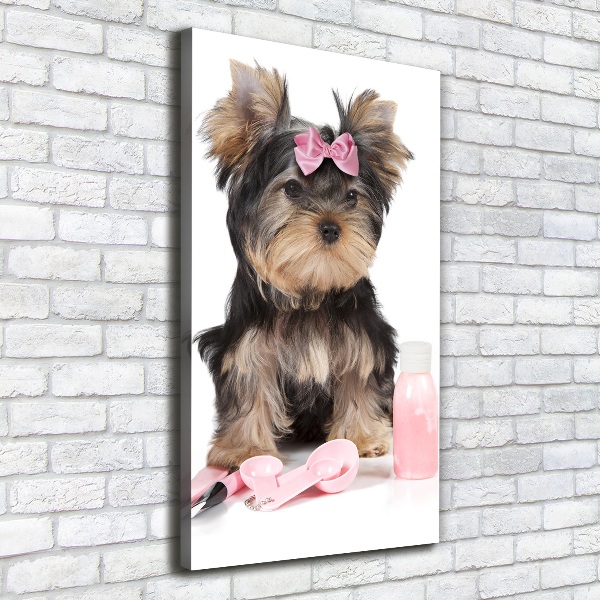 Foto auf leinwand vertikales Yorkshire Kosmetik