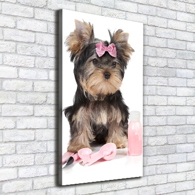 Foto auf leinwand vertikales Yorkshire Kosmetik