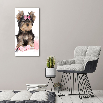 Foto auf leinwand vertikales Yorkshire Kosmetik