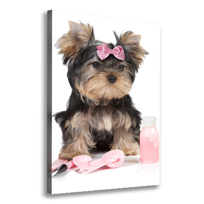 Foto auf leinwand vertikales Yorkshire Kosmetik