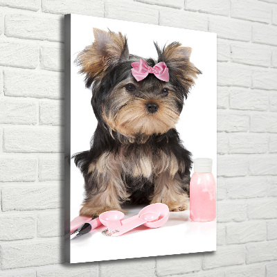 Foto auf leinwand vertikales Yorkshire Kosmetik