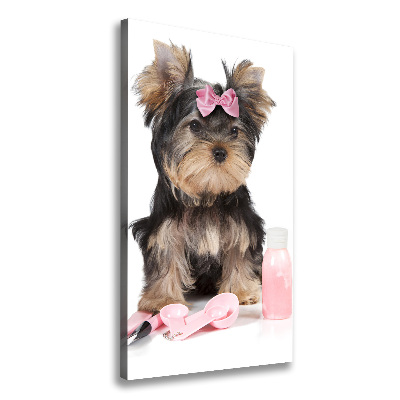 Foto auf leinwand vertikales Yorkshire Kosmetik