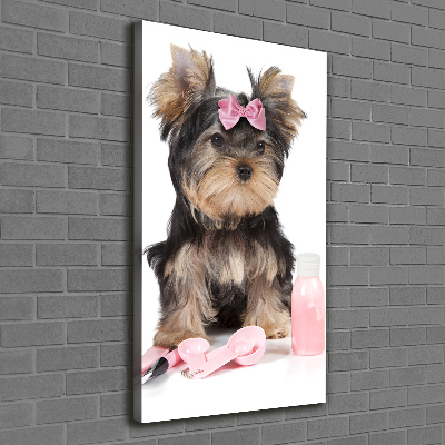 Foto auf leinwand vertikales Yorkshire Kosmetik