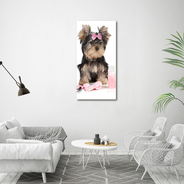 Foto auf leinwand vertikales Yorkshire Kosmetik