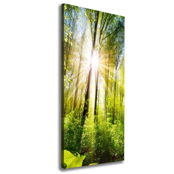 Foto auf leinwand vertikales Die Sonne im Wald