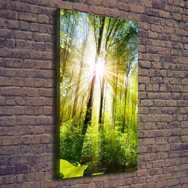 Foto auf leinwand vertikales Die Sonne im Wald