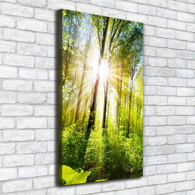 Foto auf leinwand vertikales Die Sonne im Wald