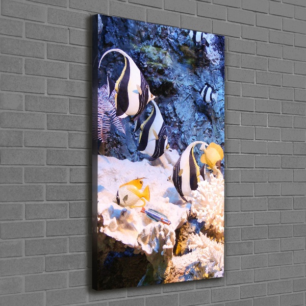 Foto leinwand vertikales Korallenriff