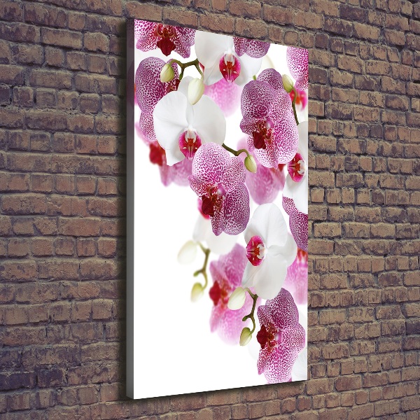 Foto auf leinwand vertikales Orchidee
