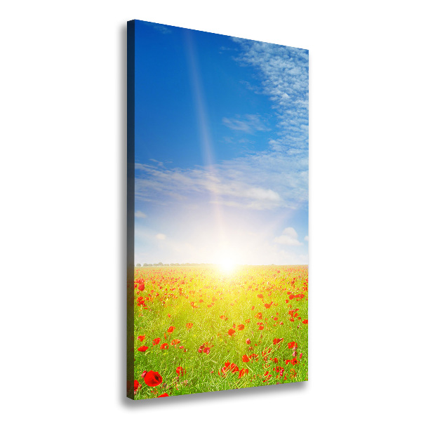 Foto leinwand vertikales Mohnfeld