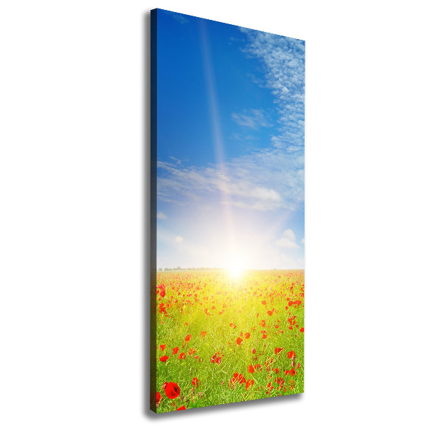 Foto leinwand vertikales Mohnfeld