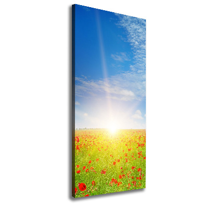 Foto leinwand vertikales Mohnfeld