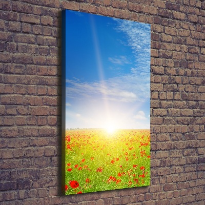 Foto leinwand vertikales Mohnfeld