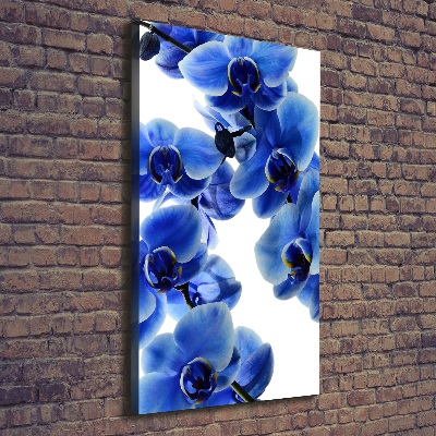 Foto auf leinwand vertikales Blaue Orchidee