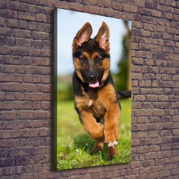 Foto leinwand vertikales Deutscher Schäferhund
