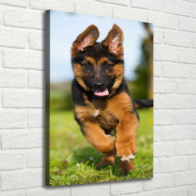 Foto leinwand vertikales Deutscher Schäferhund