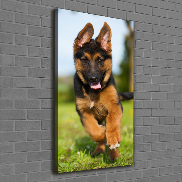 Foto leinwand vertikales Deutscher Schäferhund