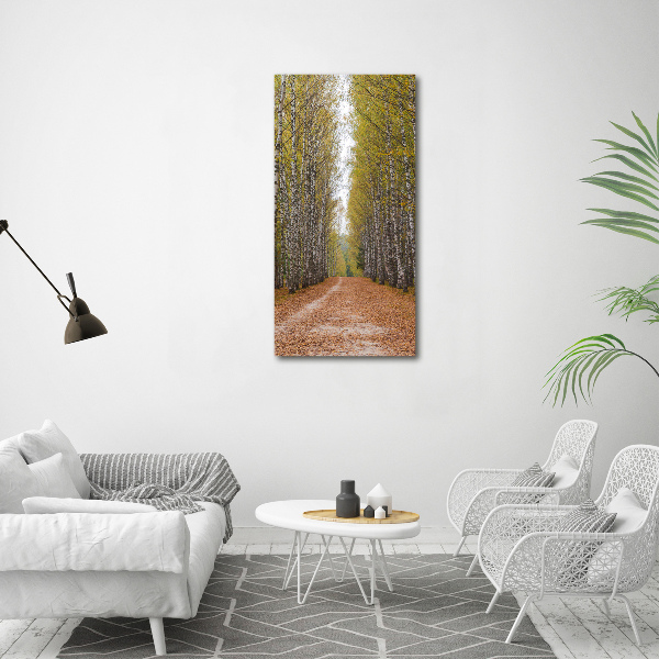 Foto leinwand vertikales Birkenwald