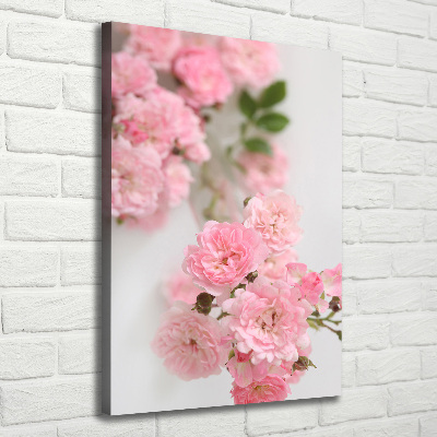 Foto auf leinwand vertikales Dornen