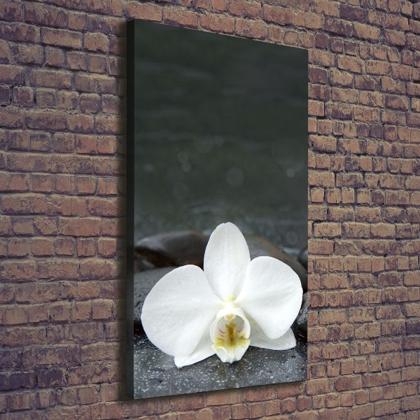 Foto leinwand vertikales Orchideensteine