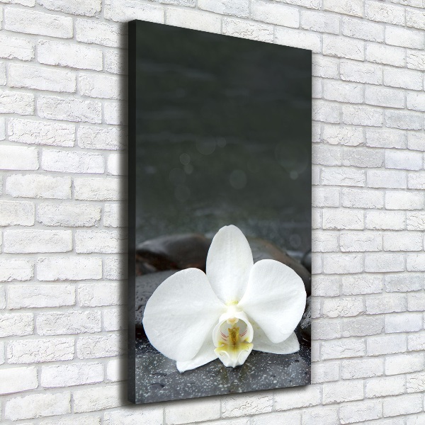 Foto leinwand vertikales Orchideensteine