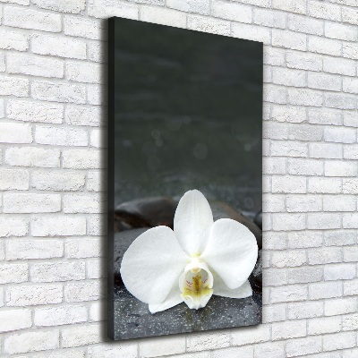 Foto leinwand vertikales Orchideensteine